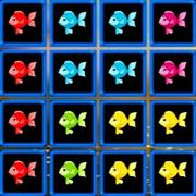 1010 Fish Blocks