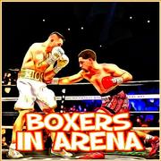 Boxers In Arena