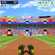 Cricket Fielder Challenge Game
