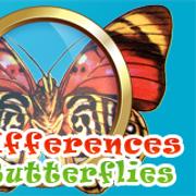 Differences Butterflies