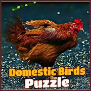 Domestic Birds Puzzle