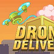 Drone Delivery