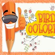 EG Birds Coloring