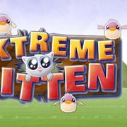 Extreme Kitten