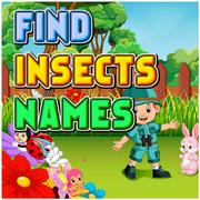 Find Insects Names