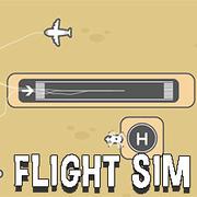 Flight Sim