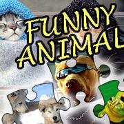 Jigsaw Puzzle Funny Animals