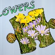 Jigsaw Puzzle: Flowers