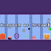 Kingdom Of Ninja 3