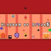 Kingdom Of Ninja 5