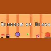 Kingdom Of Ninja