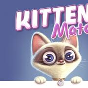 Kitten Match