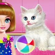 Kitty Care And Grooming