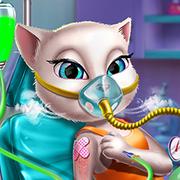 Kitty Mission Accident ER