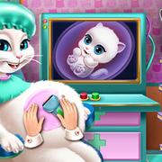 Kitty Pregnant Checkup