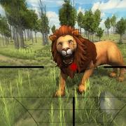 Lion Hunting 3D