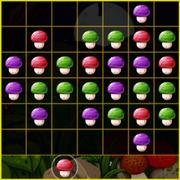 Mushroom Puzzles