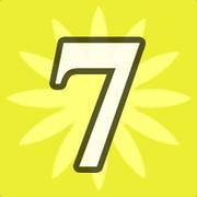 Number 7
