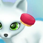 Paws To Beauty: Arctic Edition