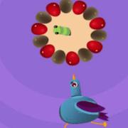 Pigeon Game Online