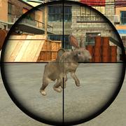 Rabbit Shooter