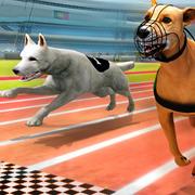 Real Dog Racing Simulator 3D