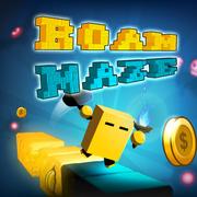Roam Maze