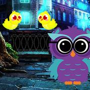 Ruler Owl Escape Game