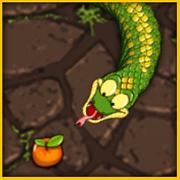 Snake Attack