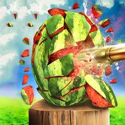 Watermelon Shooting 3D